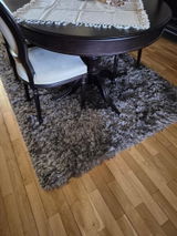 prisecaru mariana review photo