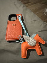Robin Ervolina review photo