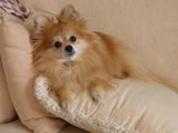 Cheryl review photo