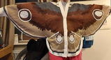 Jade Duke review photo