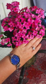 Sanella H. review photo