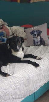 Etsy customer review photo