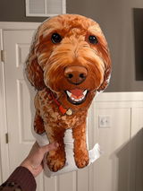 Etsy customer review photo