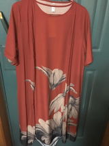 Nicu Pavlenco review photo