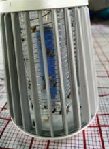 S.G. review photo