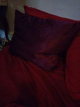 Colleen S. review photo