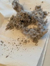 Sabreen review photo