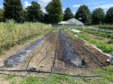 City of Montpelier Feast Farm review photo