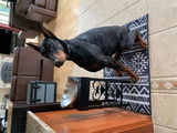 Salma review photo
