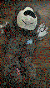 Maria T. review photo