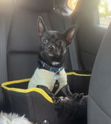 Rocky review photo