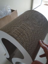 Eilleen F. review photo