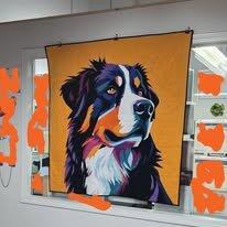 Bernese Mountain