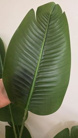 Arin B. review photo
