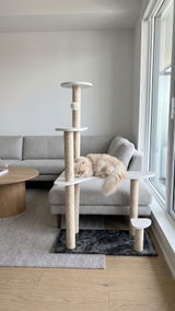 mochi.the.fluff review photo