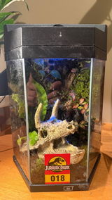 Isabella Roldan review photo