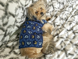 Hayley H. review photo