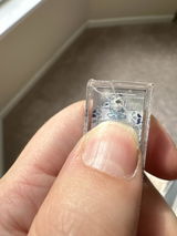 Rowan P. review photo