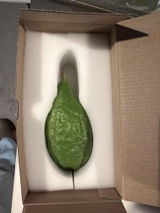 Anonymous review photo