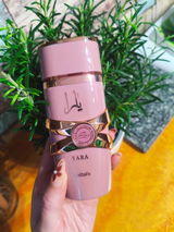 Ineta review photo