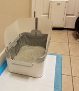 EFox review photo
