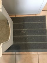 Catma review photo