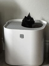 Jolynn W. review photo