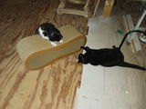 Judy S. review photo
