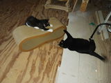 Judy S. review photo