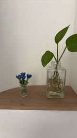 Y.B. review photo