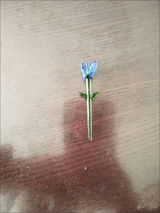 R.K. review photo