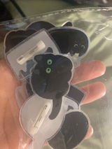 S.N. review photo