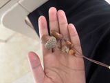D.D. review photo