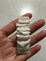 S.S. review photo