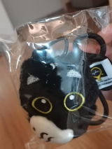 S.S. review photo