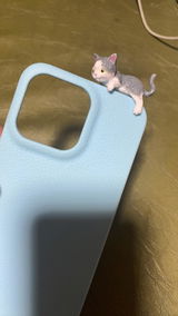 d. review photo