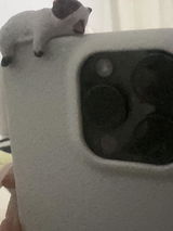 s. review photo
