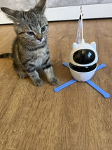Cats lover review photo
