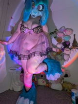 Trixie review photo