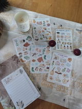 Alena Z. review photo