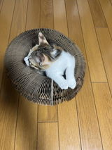 寛之 関谷 review photo