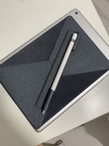 YAN LAP LI review photo