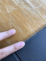 angel review photo