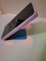 S. C. review photo