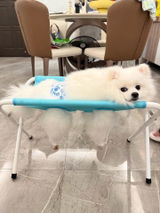 しーちゃん review photo