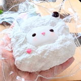 匿名 review photo