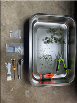 Mogobe Trim Tray with Detachable 150 Micron Screen, Made of Stainless Steel, 19.5*13.5 inches