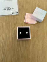 shaked dvashi review photo