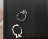 Antonella F review photo