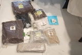 Shahnaz Rais review photo